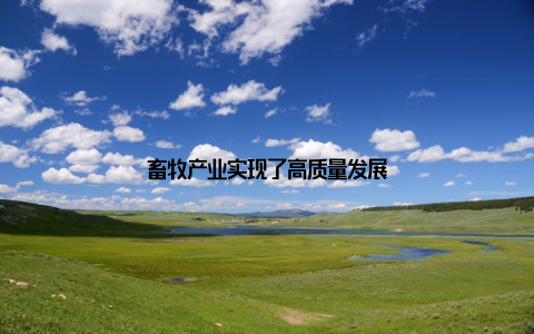 畜牧产业实现了高质量发展