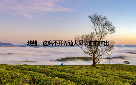 我想, 这离不开养殖人员辛勤的付出