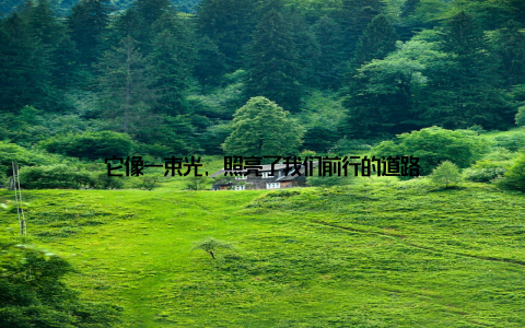 它像一束光, 照亮了我们前行的道路