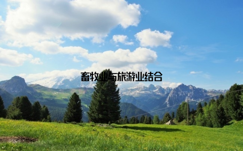 畜牧业与旅游业结合