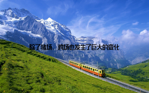 除了猪场, 鸡场也发生了巨大的变化