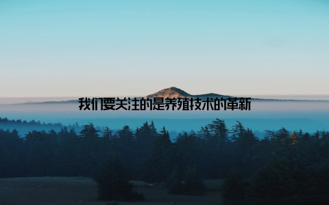 我们要关注的是养殖技术的革新