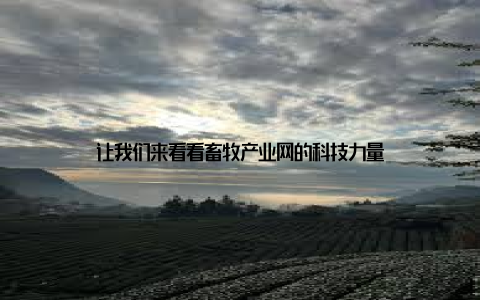 让我们来看看畜牧产业网的科技力量