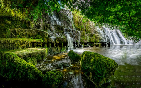 听着他们的发言, 我深感受益匪浅