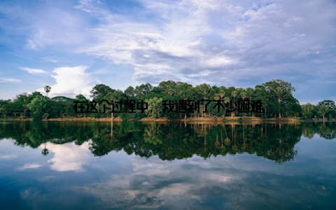 在这个过程中, 我遇到了不少困难