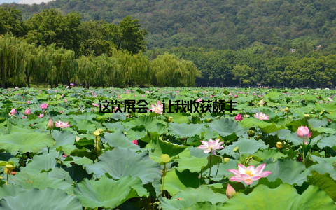 这次展会, 让我收获颇丰