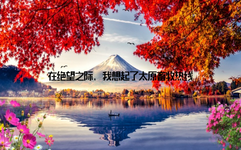 在绝望之际, 我想起了太原畜牧热线