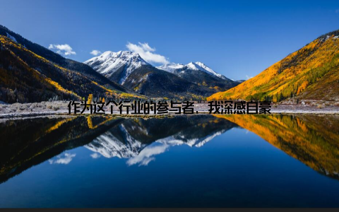 作为这个行业的参与者, 我深感自豪