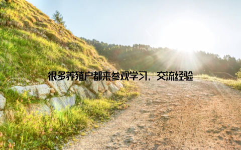 很多养殖户都来参观学习, 交流经验