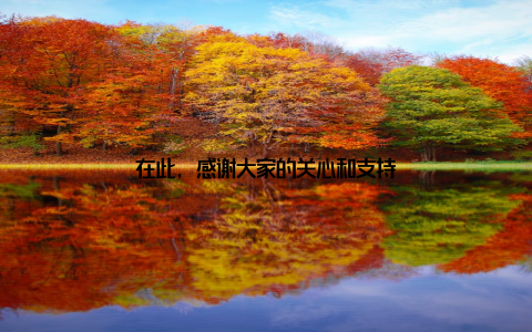 在此, 感谢大家的关心和支持