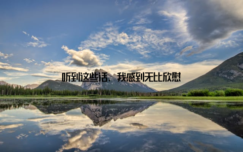 听到这些话, 我感到无比欣慰