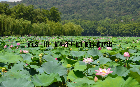 而这一切, 都离不开他们的辛勤付出