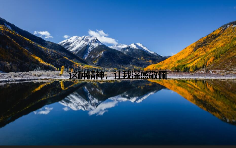 这种精神, 让我深感敬佩