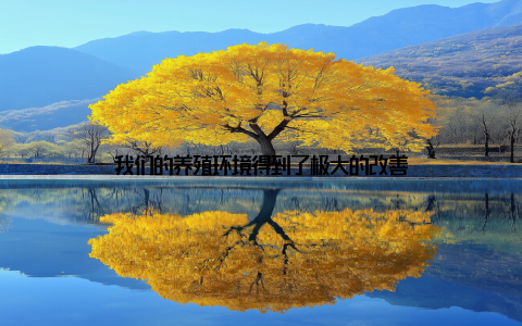 我们的养殖环境得到了极大的改善