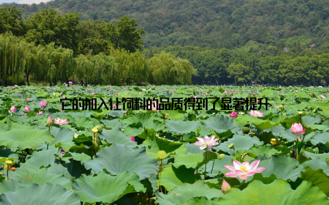 它的加入让饲料的品质得到了显著提升