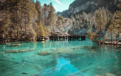 小王, 你最近好像很忙啊