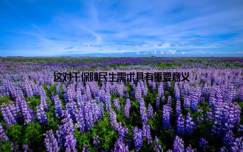 这对于保障民生需求具有重要意义