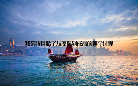 我亲眼目睹了从原料到成品的整个过程