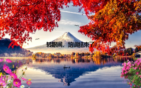 转眼间, 培训结束了