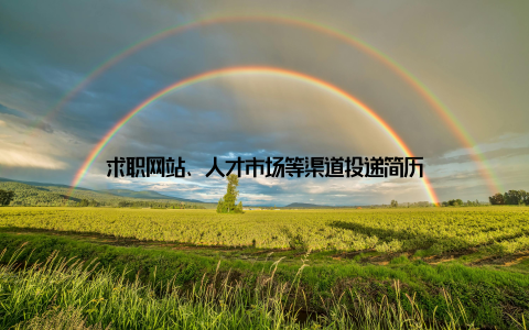 求职网站、人才市场等渠道投递简历