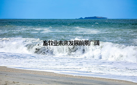 , 畜牧业未来发展前景广阔