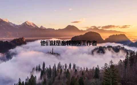 他们就是畜牧兽医工作者