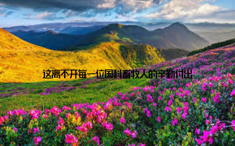 这离不开每一位国科畜牧人的辛勤付出