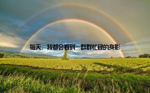 每天, 我都会看到一群群忙碌的身影