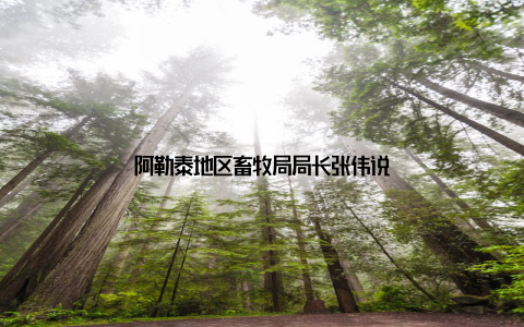 阿勒泰地区畜牧局局长张伟说