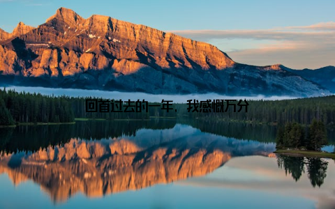 回首过去的一年, 我感慨万分