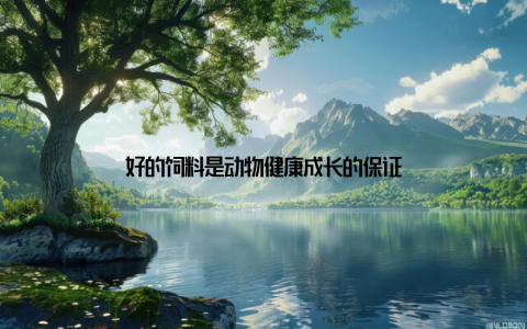 好的饲料是动物健康成长的保证