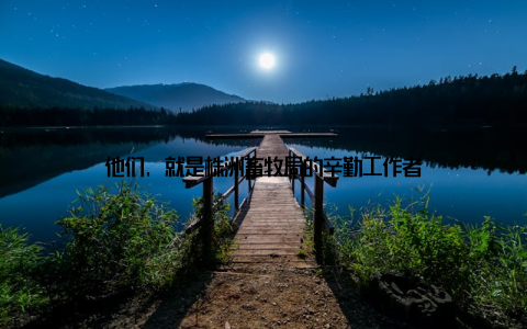 他们, 就是株洲畜牧局的辛勤工作者