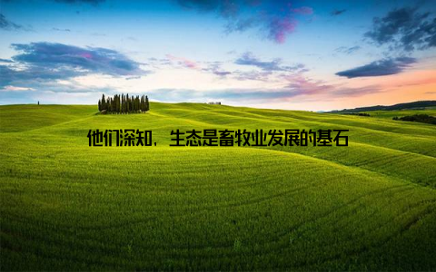 他们深知, 生态是畜牧业发展的基石