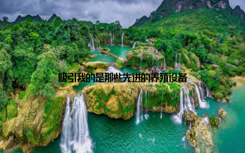 吸引我的是那些先进的养殖设备