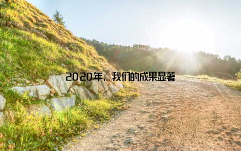 2020年, 我们的成果显著