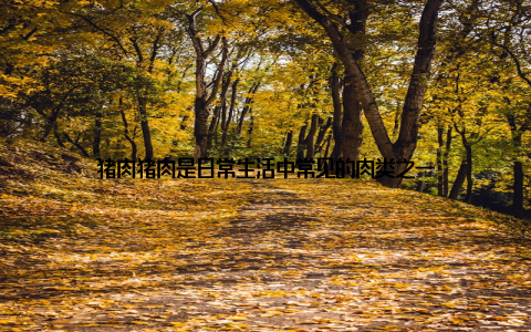 猪肉猪肉是日常生活中常见的肉类之一