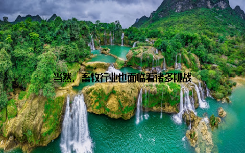 当然, 畜牧行业也面临着诸多挑战