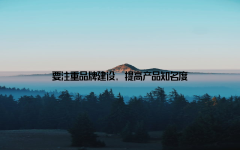 要注重品牌建设, 提高产品知名度