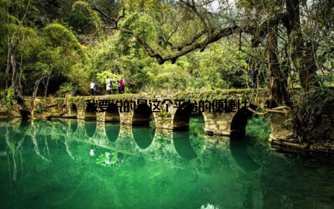 我要说的是这个平台的便捷性