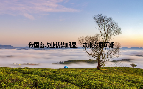 我国畜牧业优势明显, 未来发展可期