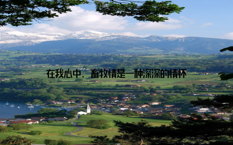 在我心中, 畜牧情是一种深深的情怀