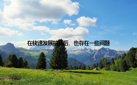 在快速发展的背后, 也存在一些问题