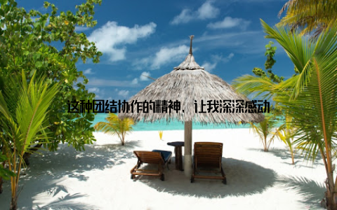 这种团结协作的精神, 让我深深感动