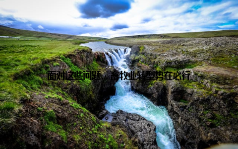 面对这些问题, 畜牧业转型势在必行