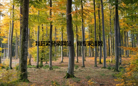 我赶紧登录网站, 向专家请教