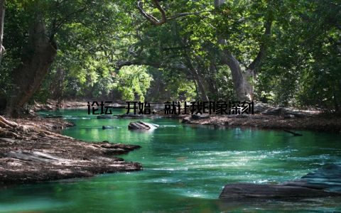 论坛一开始, 就让我印象深刻