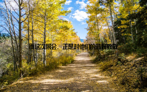 而这次展会, 正是对他们的最好致敬