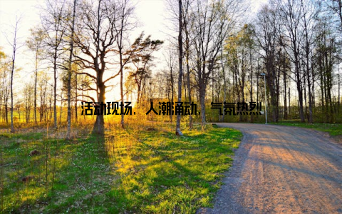 活动现场, 人潮涌动, 气氛热烈