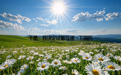 于是, 我决定试着投递一下简历