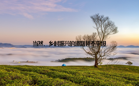 当然, 乡村振兴的道路并不平坦